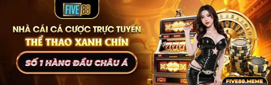 Biểu đồ chiến lược cá cược thể thao