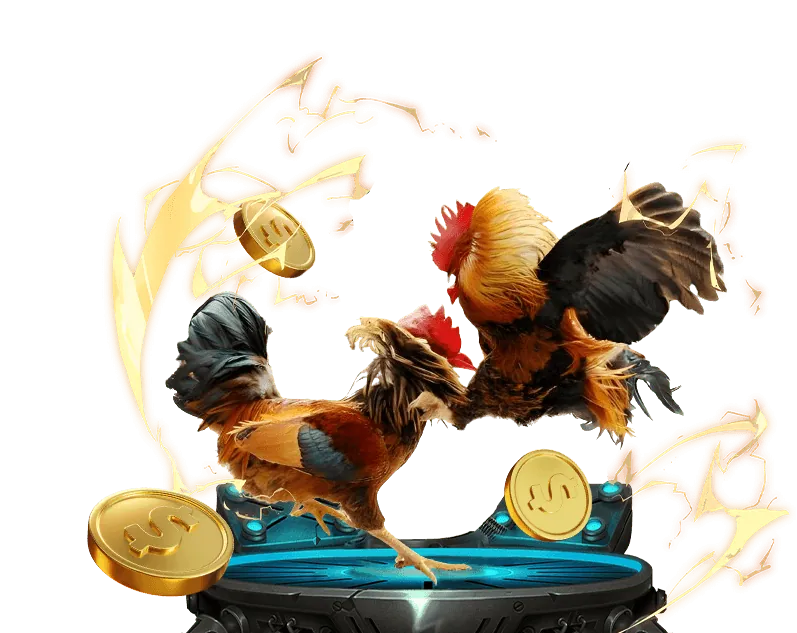 Giao diện cá cược đá gà online, an toàn, dễ sử dụng